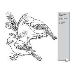 着色页: 鸟类 (动物) #11981 - 免费可打印着色页