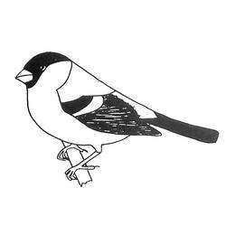 着色页: 鸟类 (动物) #12019 - 免费可打印着色页