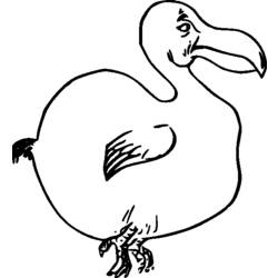 着色页: 鸟类 (动物) #12043 - 免费可打印着色页