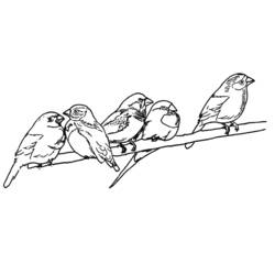 着色页: 鸟类 (动物) #12076 - 免费可打印着色页