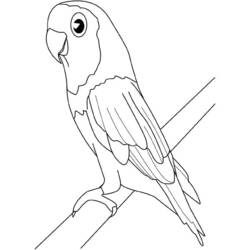 着色页: 鸟类 (动物) #12084 - 免费可打印着色页