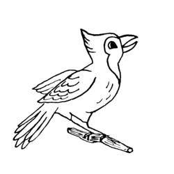 着色页: 鸟类 (动物) #12112 - 免费可打印着色页