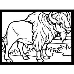 着色页: 野牛 (动物) #1191 - 免费可打印着色页
