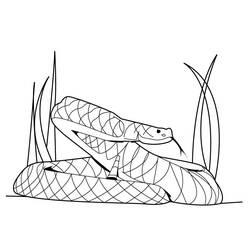 着色页: 蟒蛇 (动物) #1317 - 免费可打印着色页