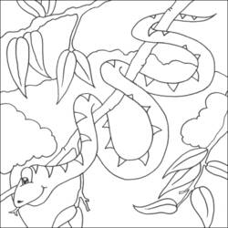 着色页: 蟒蛇 (动物) #1322 - 免费可打印着色页