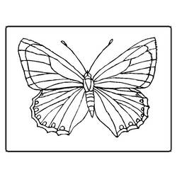 着色页: 蝴蝶 (动物) #15663 - 免费可打印着色页