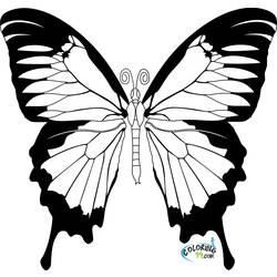 着色页: 蝴蝶 (动物) #15664 - 免费可打印着色页