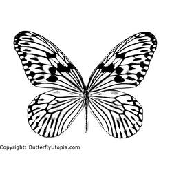 着色页: 蝴蝶 (动物) #15665 - 免费可打印着色页