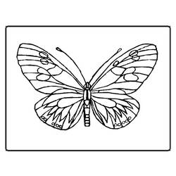 着色页: 蝴蝶 (动物) #15669 - 免费可打印着色页