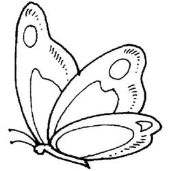 着色页: 蝴蝶 (动物) #15685 - 免费可打印着色页