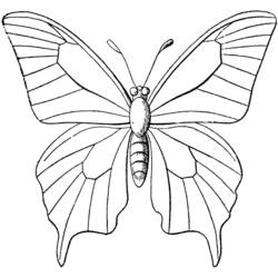 着色页: 蝴蝶 (动物) #15693 - 免费可打印着色页