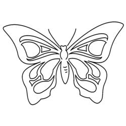 着色页: 蝴蝶 (动物) #15707 - 免费可打印着色页