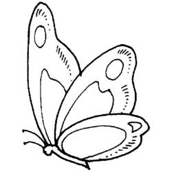 着色页: 蝴蝶 (动物) #15719 - 免费可打印着色页