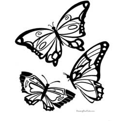 着色页: 蝴蝶 (动物) #15730 - 免费可打印着色页