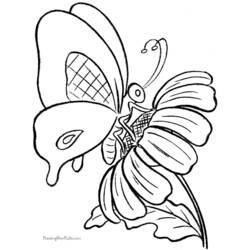 着色页: 蝴蝶 (动物) #15732 - 免费可打印着色页