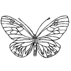 着色页: 蝴蝶 (动物) #15745 - 免费可打印着色页