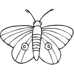着色页: 蝴蝶 (动物) #15752 - 免费可打印着色页