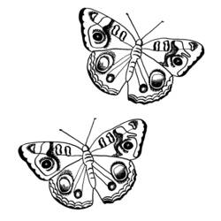 着色页: 蝴蝶 (动物) #15764 - 免费可打印着色页