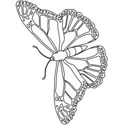 着色页: 蝴蝶 (动物) #15773 - 免费可打印着色页