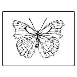着色页: 蝴蝶 (动物) #15774 - 免费可打印着色页