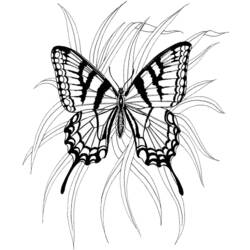 着色页: 蝴蝶 (动物) #15786 - 免费可打印着色页
