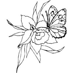 着色页: 蝴蝶 (动物) #15790 - 免费可打印着色页