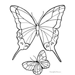 着色页: 蝴蝶 (动物) #15797 - 免费可打印着色页