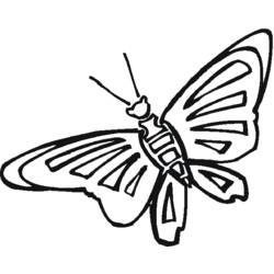 着色页: 蝴蝶 (动物) #15813 - 免费可打印着色页