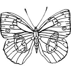 着色页: 蝴蝶 (动物) #15814 - 免费可打印着色页