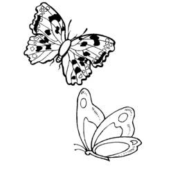 着色页: 蝴蝶 (动物) #15828 - 免费可打印着色页