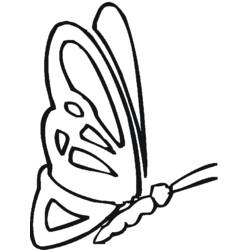 着色页: 蝴蝶 (动物) #15840 - 免费可打印着色页