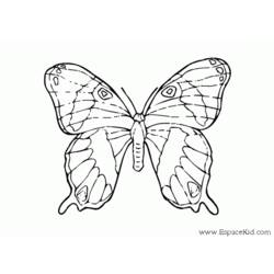 着色页: 蝴蝶 (动物) #15857 - 免费可打印着色页