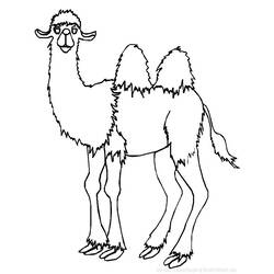 着色页: 骆驼 (动物) #1667 - 免费可打印着色页