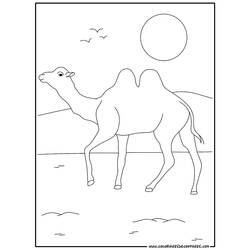 着色页: 骆驼 (动物) #1672 - 免费可打印着色页