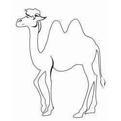 着色页: 骆驼 (动物) #1674 - 免费可打印着色页
