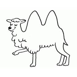 着色页: 骆驼 (动物) #1683 - 免费可打印着色页