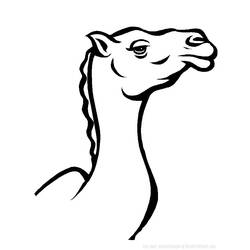 着色页: 骆驼 (动物) #1685 - 免费可打印着色页