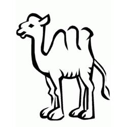 着色页: 骆驼 (动物) #1693 - 免费可打印着色页