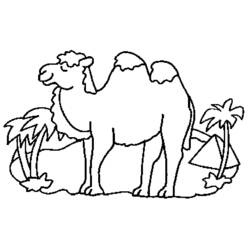 着色页: 骆驼 (动物) #1697 - 免费可打印着色页