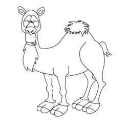 着色页: 骆驼 (动物) #1704 - 免费可打印着色页