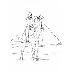 着色页: 骆驼 (动物) #1713 - 免费可打印着色页