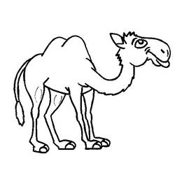 着色页: 骆驼 (动物) #1719 - 免费可打印着色页