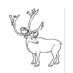 着色页: 驯鹿 (动物) #1541 - 免费可打印着色页