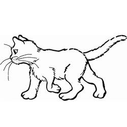 着色页: 猫 (动物) #1764 - 免费可打印着色页