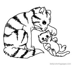 着色页: 猫 (动物) #1766 - 免费可打印着色页