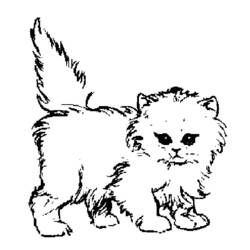 着色页: 猫 (动物) #1770 - 免费可打印着色页