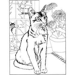 着色页: 猫 (动物) #1772 - 免费可打印着色页