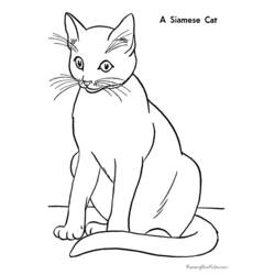 着色页: 猫 (动物) #1775 - 免费可打印着色页