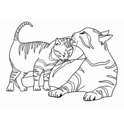 着色页: 猫 (动物) #1776 - 免费可打印着色页
