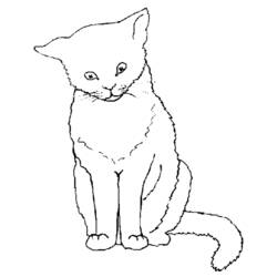 着色页: 猫 (动物) #1783 - 免费可打印着色页